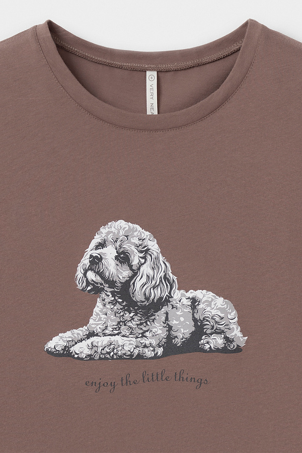 картинка Комплект с футболкой и шортами  из 100% хлопка от магазина Одежда+