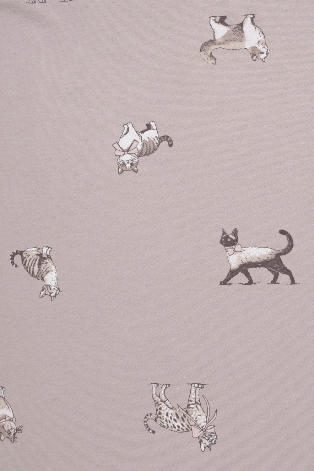 картинка Удлиненная футболка из 100% хлопка от магазина Одежда+